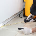 Top 10 Most Common Pests in Ottawa—and How to Keep Them Out Naturally
