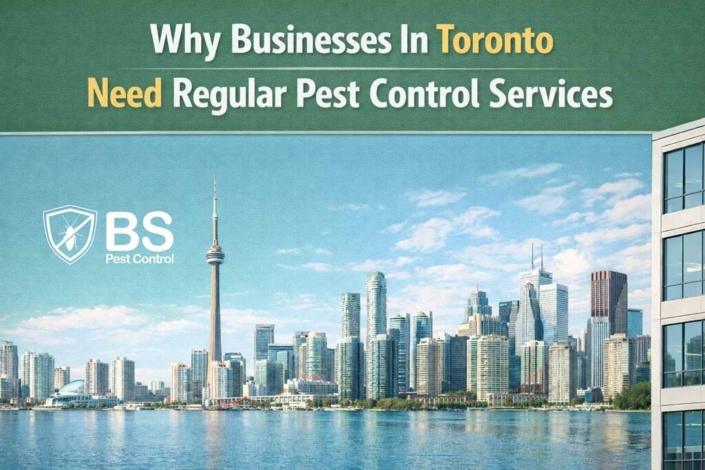 Why Businesses In Toronto Need Regular Pest Control Services