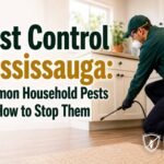 Pest Control Mississauga: Common Household Pests And How To Stop Them