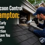 Raccoon Control Brampton: How Early Raccoon Detection Can Save You Money