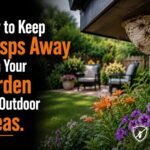 How to Keep Wasps Away from Your Garden and Outdoor Areas