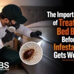 The Importance of Treating Bed Bugs Before an Infestation Gets Worse