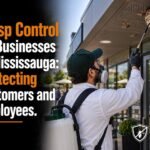 Wasp Control for Businesses in Mississauga: Protecting Customers and Employees