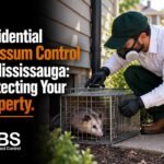 Residential Opossum Control in Mississauga: Protecting Your Property