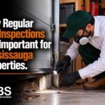 Why Regular Rat Inspections Are Important for Mississauga Properties